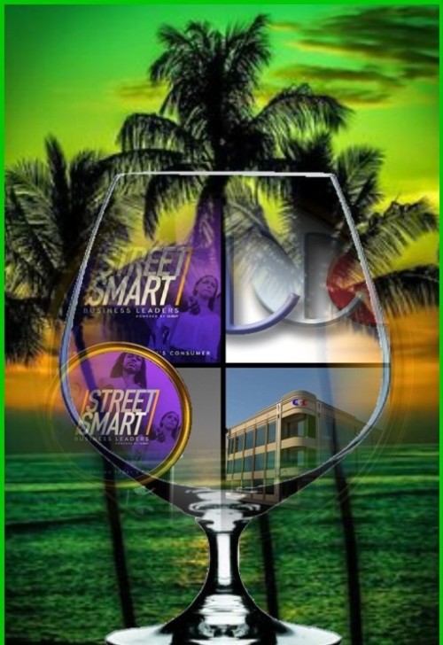 Street-Smart-Business-Leaders-podcast-guest-Richard-Blank-Costa-Ricas-Call-Center-CEO.-18196083d91e782c33.jpg