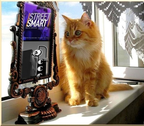 Street-Smart-Business-Leaders-podcast-guest-Richard-Blank-Costa-Ricas-Call-Center-CEO.-20f50121435e60815e.jpg